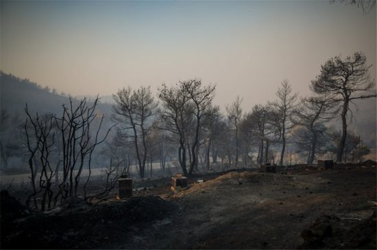 Βόρεια Εύβοια: Στην τελική ευθεία υλοποίησης το Πρόγραμμα Ανασυγκρότησης