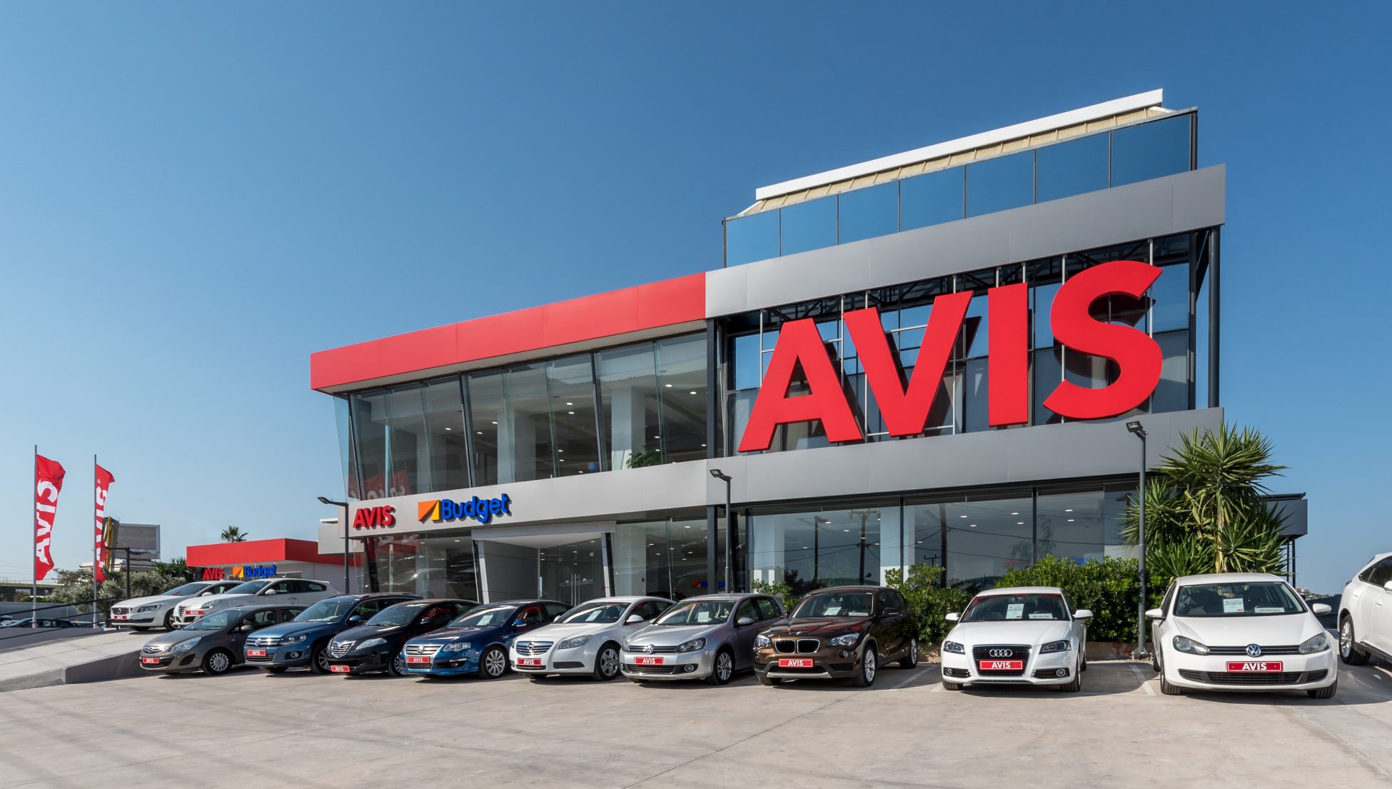 Avis | Mononews