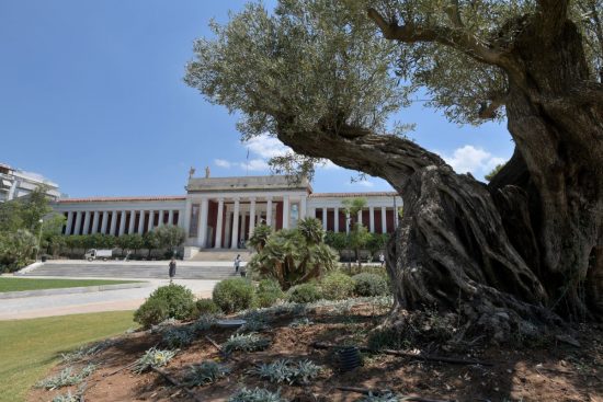 Με δίκταμο, θυμάρι κι άγρια ρίγανη – ‘Ολη η ελληνική φύση στον Κήπο του Μουσείου