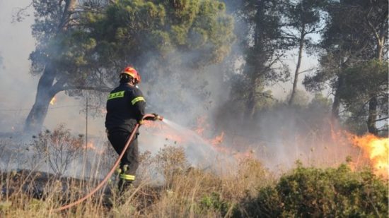 Φωτιά στον Βύρωνα: Απειλήθηκε το καταφύγιο αδέσποτων ζώων – Μεγάλη η ανταπόκριση του κόσμου