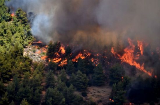 Μεγάλη φωτιά στη Μάνη – Εντολή για προληπτική εκκένωση σε πέντε οικισμούς