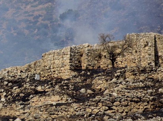 Μυκήνες: Θλιβερές εικόνες από τον αρχαιολογικό χώρο μετά την σαρωτική πυρκαγιά (pics)