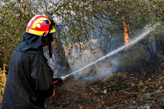 Φωτιά στα Άνω Λιόσια: Προς Πετρούπολη κινείται το μέτωπο