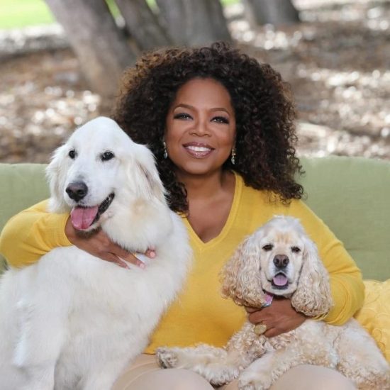 3 συμβουλές επιτυχίας από την Oprah Winfrey προς κάθε επιχειρηματία