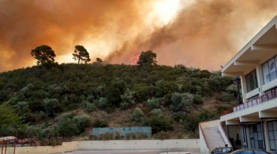 Χαλκιδική: Χωρίς ενεργά μέτωπα η φωτιά στη Σιθωνία