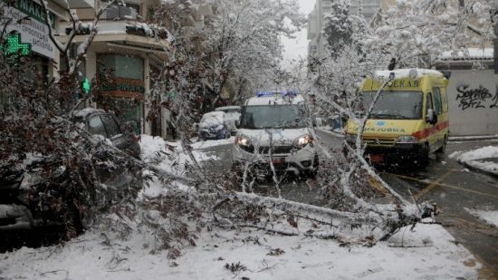 Υπ. Υποδομών: Ζητά τη συνδρομή των κατασκευαστικών για την κοπή των δέντρων που έπεσαν από την κακοκαιρία