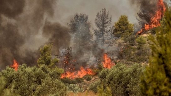 Φωτιά στην Εύβοια: Εκκενώθηκαν τα Βασιλικά – Στο Μαντούδι το ρωσικό Beriev