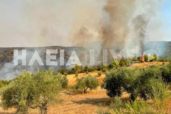 Φωτιά στην Ηλεία: Νέες αναζωπυρώσεις σε Δούκα, Λάσδικα – Εκκενώνεται η Λάλα