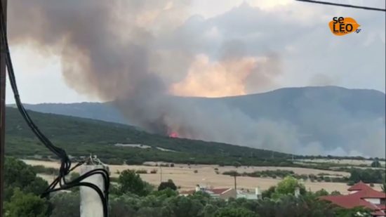 Θεσσαλονίκη: Εμπρησμούς στο Δήμο Θέρμης καταγγέλλει ο δήμαρχος