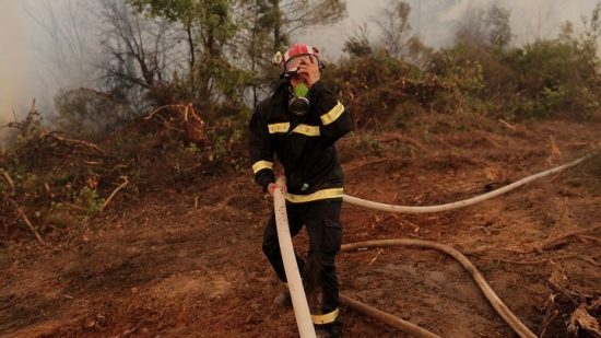 Πυρκαγιές: Τι προβλέπει η ΠΝΠ για την αποκατάσταση του περιβάλλοντος