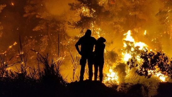 Δημοσιοποιήθηκε η ΠΝΠ με τα μέτρα για τους πυρόπληκτους και τις αναδασώσεις