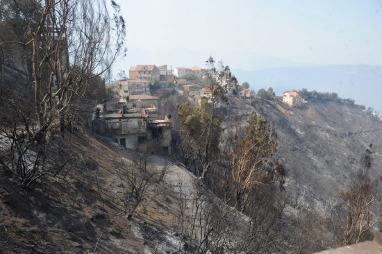 Αλγερία: Στους 69 έφτασαν οι νεκροί από τις φονικές πυρκαγιές