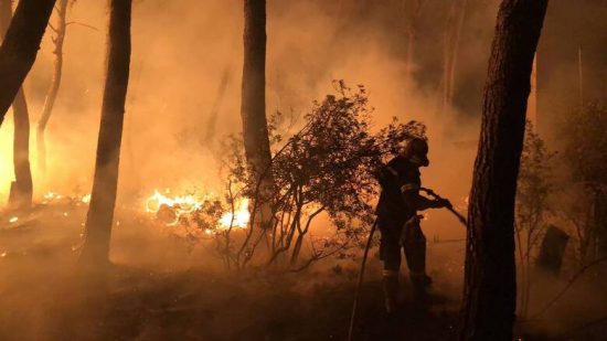 Χαλκιδική: Τρεις δασικές φωτιές σε Κασσάνδρα και Σιθωνία