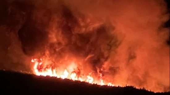 Συνελήφθη εμπρηστής στην Εύβοια