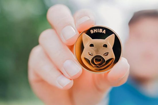 Το Bitcoin βυθίζεται και πάλι – Κέρδη 21% για το Shiba Inu