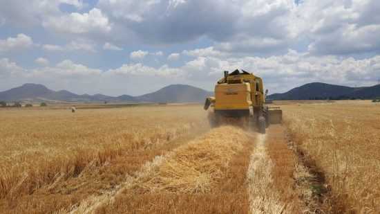 Αθηναϊκή Ζυθοποιία: Σημαντικά, πολλαπλασιαστικά οφέλη σε κοινωνική αξία από το Πρόγραμμα Συμβολαιακής Καλλιέργειας Κριθαριού