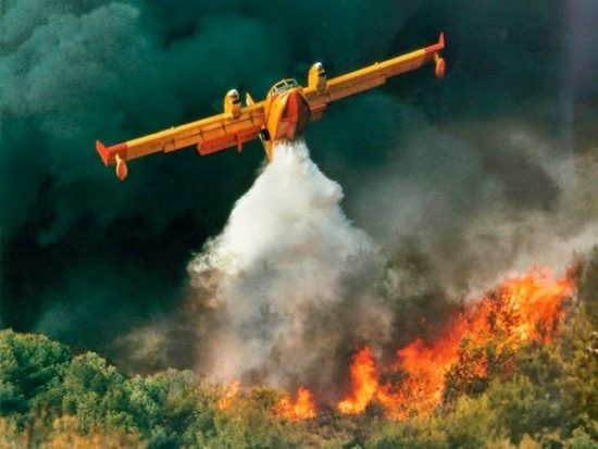 Τρίπολη: Σε ύφεση η φωτιά σε δασική έκταση στην περιοχή Ορεινή Μελιγού της Αρκαδίας