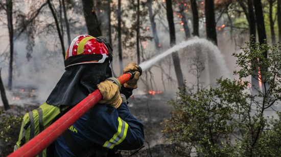 Φωτιά στο Σέιχ Σου: Η πυροσβεστική πρόλαβε τη πυρκαγιά – Ορατό το ενδεχόμενο εμπρησμού