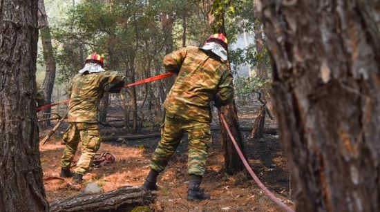 Φωτιές: Καίει για τέταρτη μέρα η πυρκαγιά στο δάσος της Δαδιάς στον Έβρο – Κατακαίει τα Βατερά στη Λέσβο