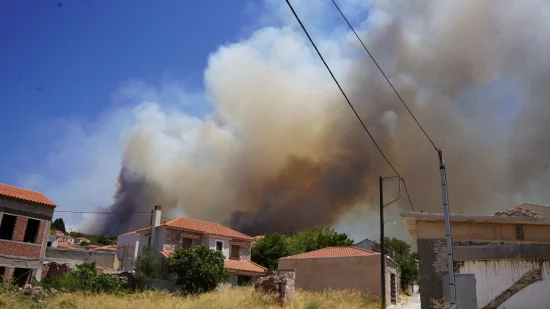 Φωτιά στη Νυφίδα Λέσβου: Συνελήφθη ύποπτος για εμπρησμό