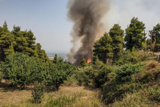 Φαρμάκης: «Παραμένουμε σε εγρήγορση, πολλά τα ερωτηματικά για τη συχνότητα πυρκαγιών στην Ηλεία»