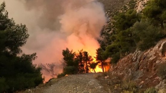 Πολύ υψηλός κίνδυνος πυρκαγιάς αύριο σε Αττική, Στ. Ελλάδα και Β. Αιγαίο