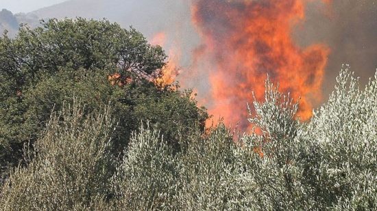 Meteo: Αυξημένη η ευφλεκτότητα των δασικών καυσίμων αυτή την εβδομάδα παρά τις πρόσφατες βροχές