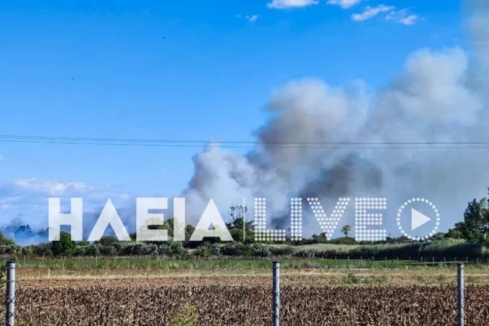 Πυρκαγιά κοντά σε κατοικημένη περιοχή στην Ηλεία – Κοντά σε σπίτια οι φλόγες