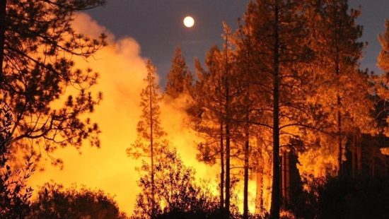 Φθιώτιδα: Μεγάλη φωτιά με ανέμους 6 μποφόρ σε πευκόδασος στη Μενδενίτσα