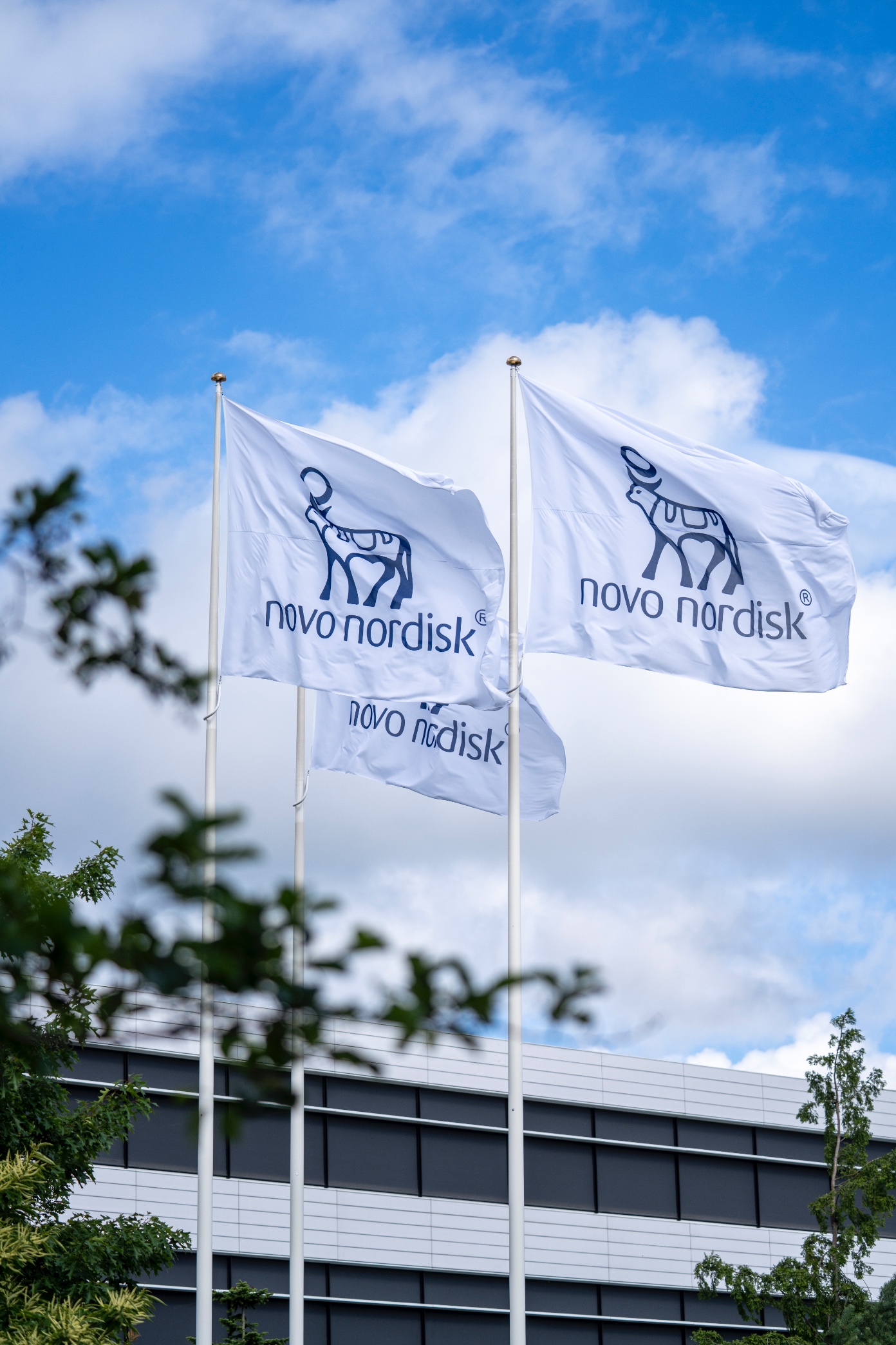 Novo Nordisk