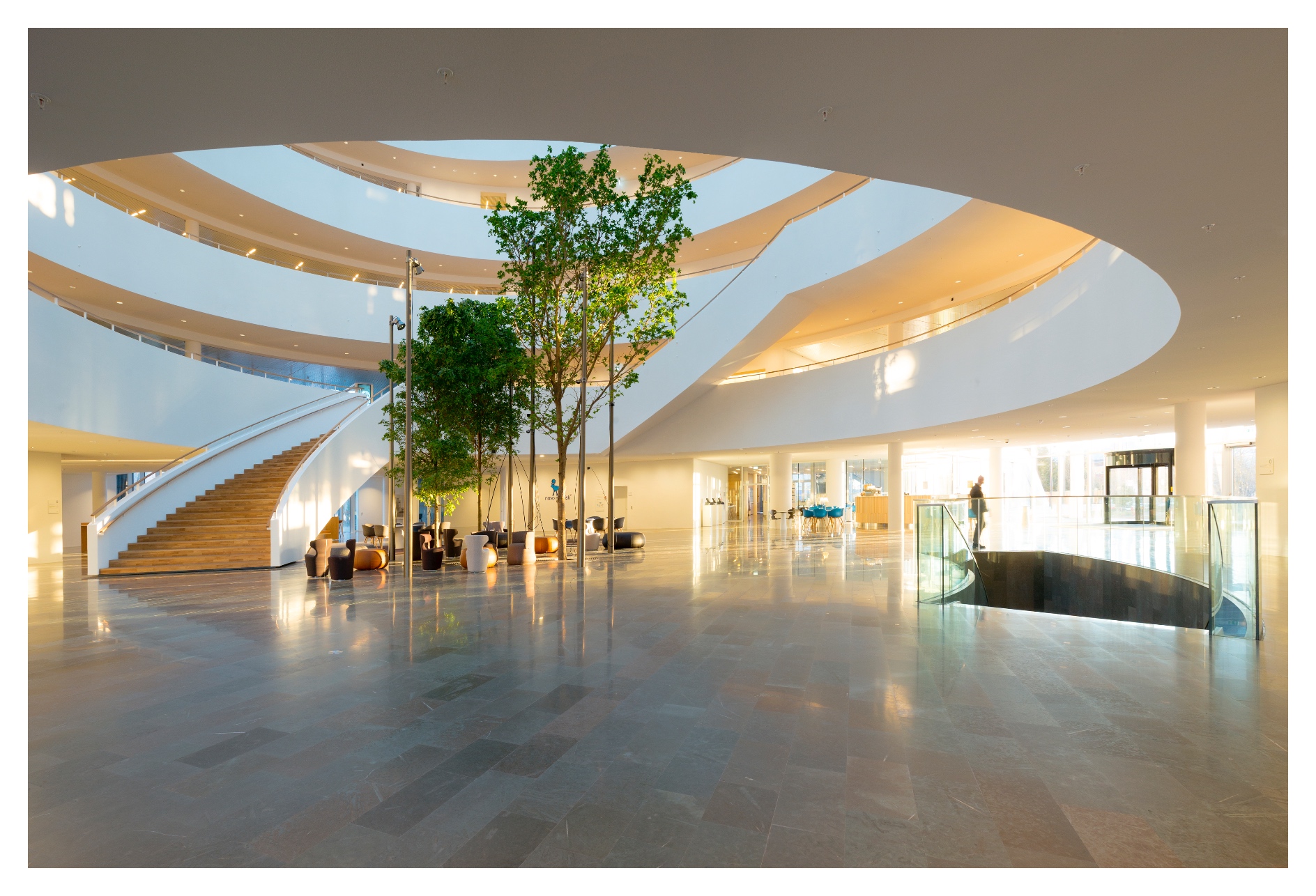 NN1, interior, reception and cafe area. Novo Nordisk Danish headquarters in Bagsværd. Inaugurated 2014. Architects: Henning Larsen. Photographer: Jens Lindhe