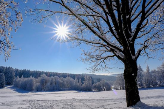 Meteo: Ο φετινός χειμώνας ήταν ο θερμότερος στη Βόρεια Ελλάδα – Οι θερμοκρασίες στη χώρα