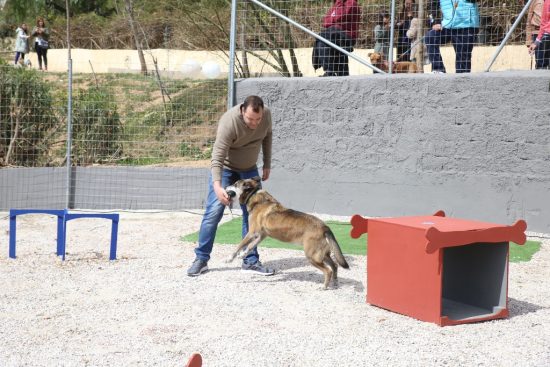 Πειραιάς: Δεκάδες φιλόζωοι και οι τετράποδοι φίλοι τους στα εγκαίνια του τρίτου Δημοτικού Πάρκου Κοινωνικοποίησης και Άθλησης σκύλων