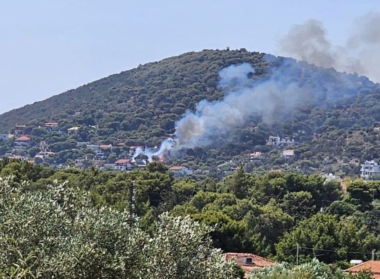 Οριοθετήθηκε η φωτιά στην Αρτέμιδα (upd)