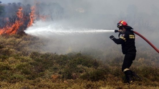 Πυρκαγιά σε θαμνώδη έκταση στην Ίρια Αργολίδας