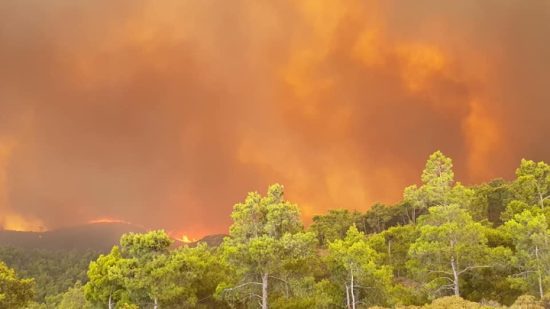 Αχαΐα: Πυρκαγιά σε δασική έκταση