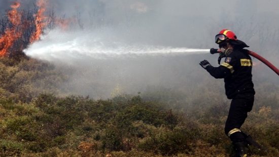 Πυρκαγιά σε εξέλιξη στην περιοχή Προφήτης στην Βόλβη