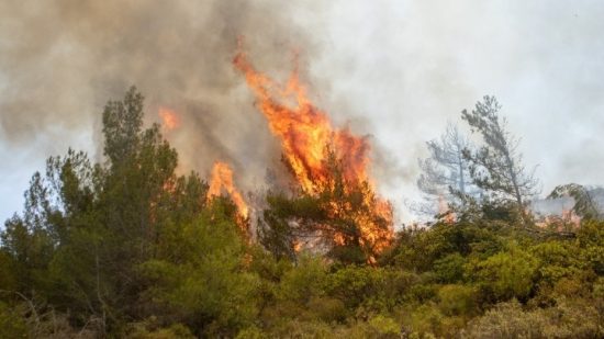 Φωτιά στην Κύθνο – Κινητοποίηση της Πυροσβεστικής