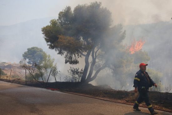 Λέσβος: Φωτιά σε δασική έκταση στην Πέτρα -Επιχειρούν επίγεια και εναέρια μέσα