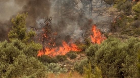 Πυρκαγιά σε χαμηλή βλάστηση στον Ασπρόπυργο