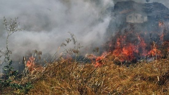 Πυρκαγιά σε χαμηλή βλάστηση στο Φίλυρο