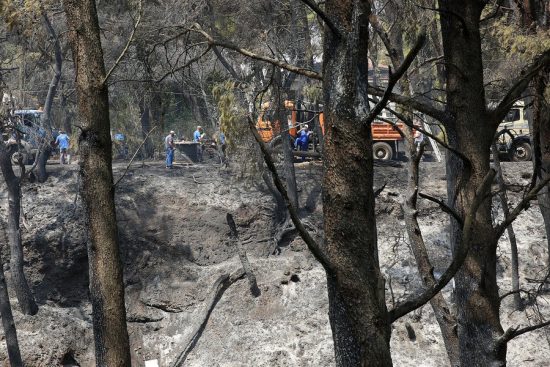 Εθνικό Αστεροσκοπείο Αθηνών: Το 23% της Αττικής κάηκε κατά τα επτά τελευταία χρόνια