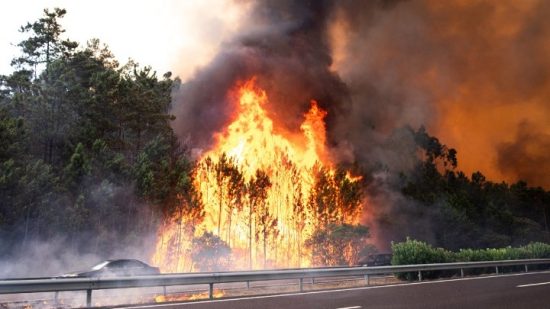 Ισπανία: Εκτός ελέγχου μαίνεται η πυρκαγιά στη βόρεια Τενερίφη