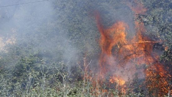 Φωτιά στην Πάρνηθα: Στη μάχη με τις φλόγες οι δασοκομάντος