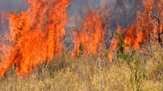 Ύδρα: Σε εξέλιξη προανακριτική έρευνα της Πυροσβεστικής για τη χθεσινή πυρκαγιά