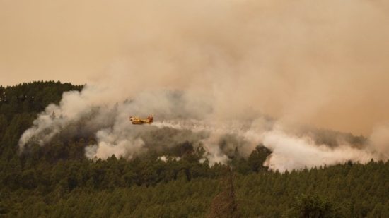 Πυρκαγιά σε δασική έκταση στην Αλεξανδρούπολη