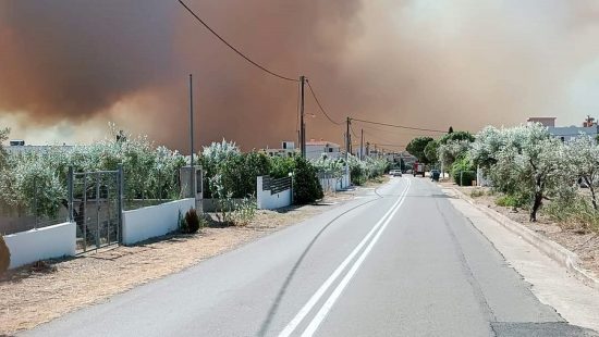 Meteo για φωτιές: Άνεμοι πάνω από 70 χλμ την ώρα σε Βοιωτία και Έβρο