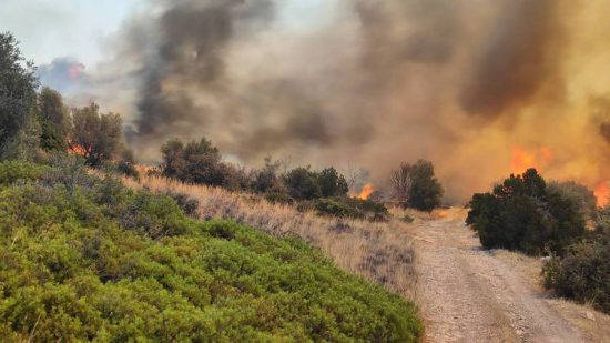 Φωτιά στα Φάρσαλα – Δεν κινδυνεύουν σπίτια