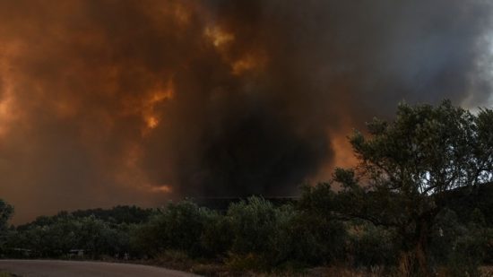 Μεγάλο το μέτωπο της φωτιάς στη Νέα Αρτάκη και τα Ψαχνά Ευβοίας