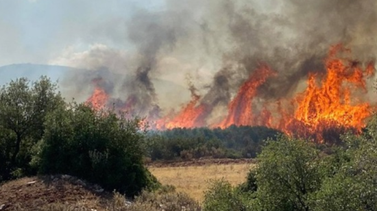 Υπό έλεγχο τέθηκε η πυρκαγιά στον Αυλώνα